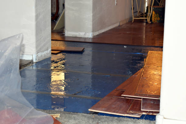 Professional Basement Water Removal technician working in Webster, IN